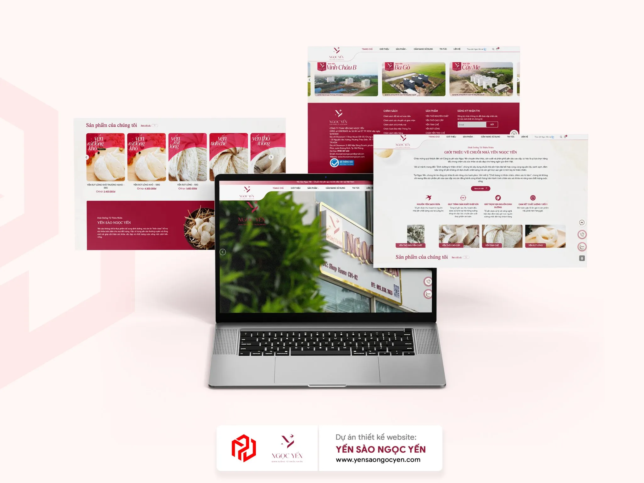 Thiết kế Website | Ngọc Phú Media